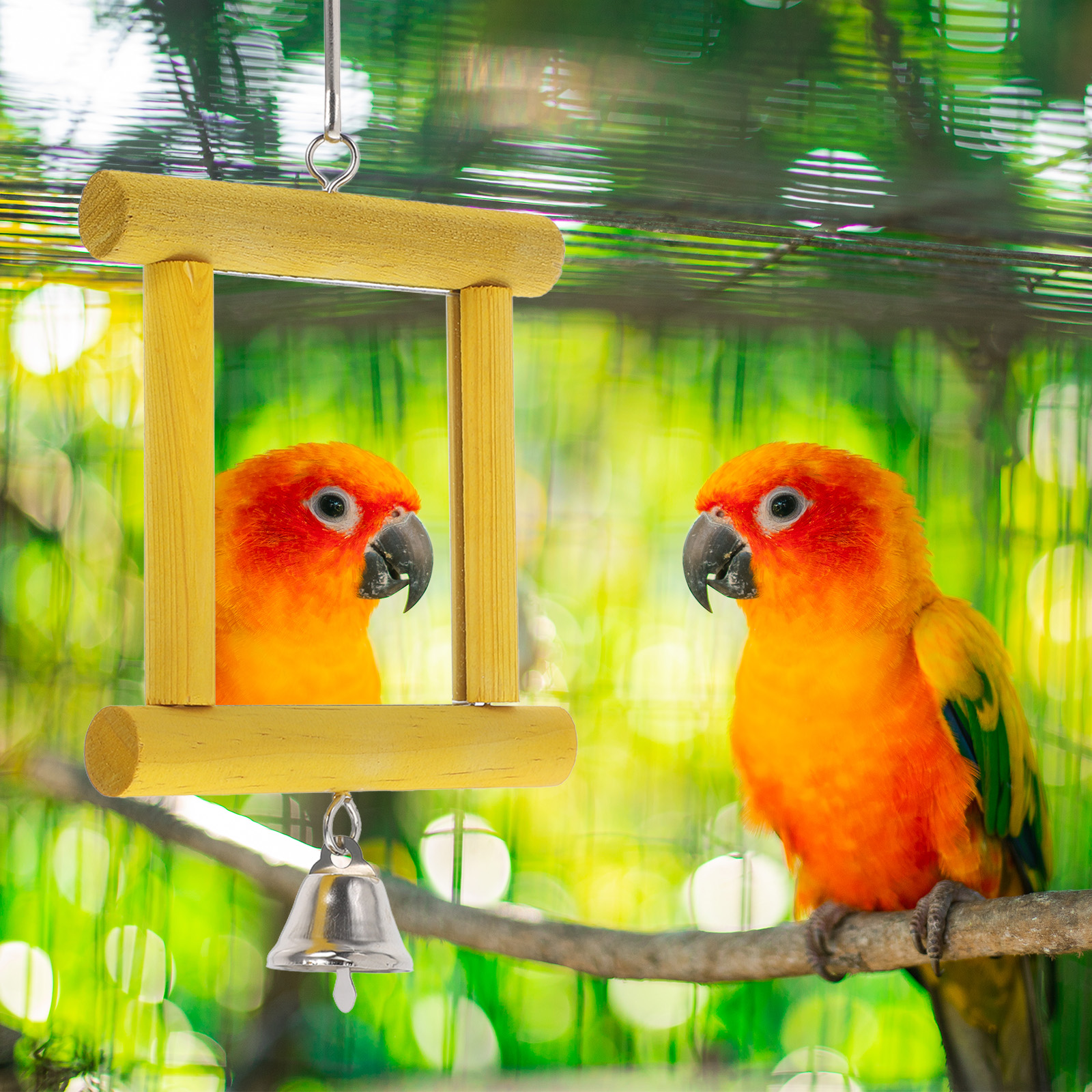 Bird Cage Decoration Parrot Mirror Toy Pet Feeder Parakeet Supplies Portable Wooden