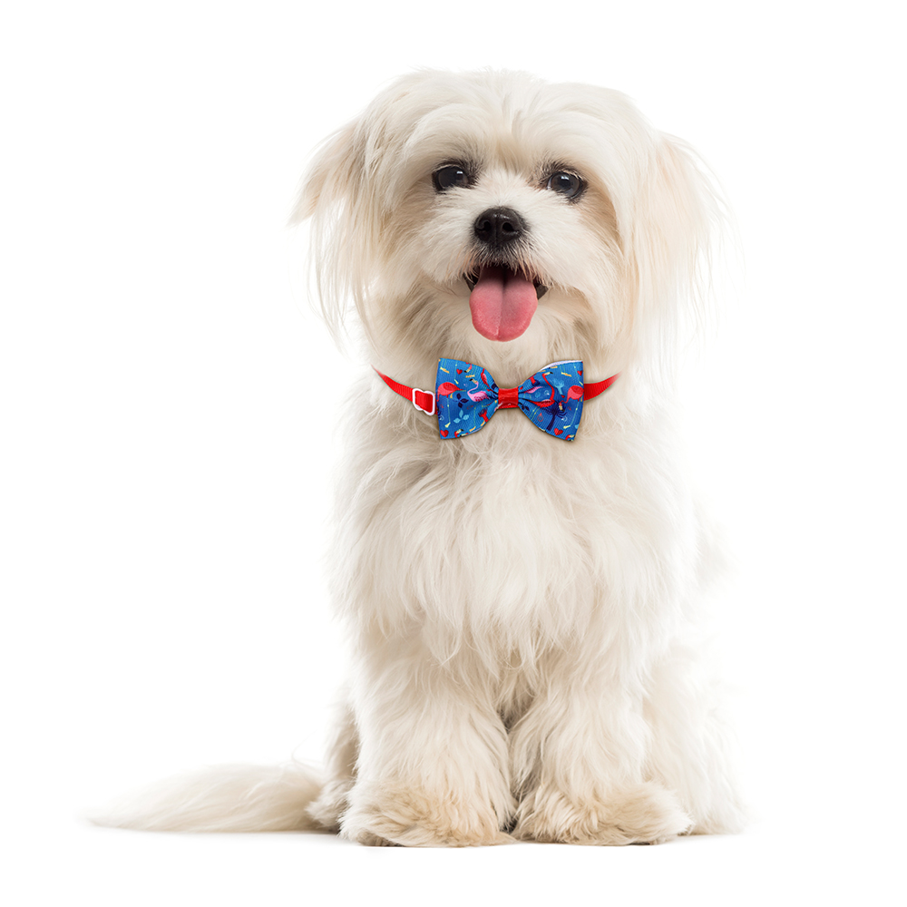 50PCS Small Dog Cat Bowtie Neckties Spring Summer Pet Dog Grooming Accessories For Dogs Pets Bow Tie Pet Products