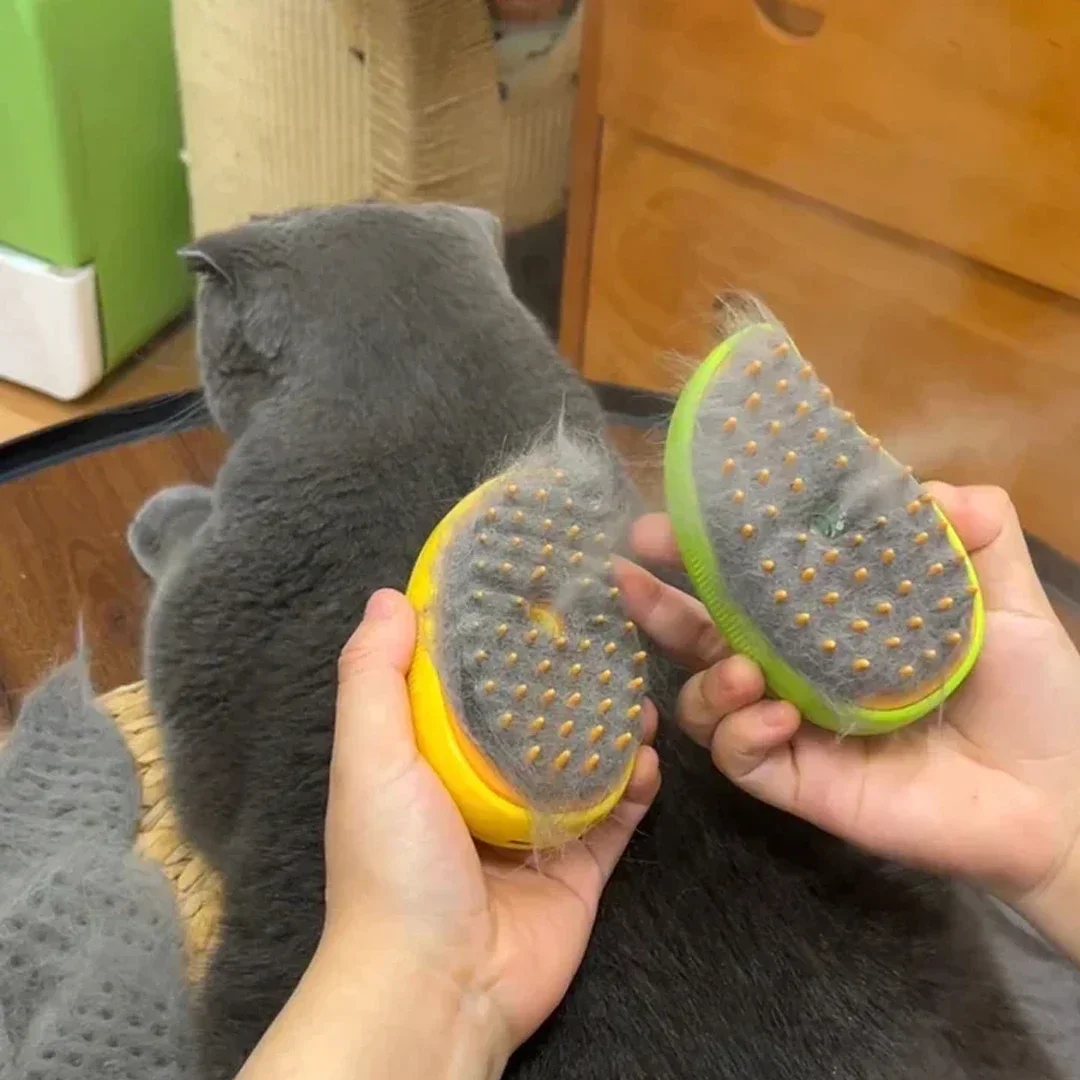 Accessories Cats Grooming Dogs Hair Pet Pets for Removes Massage Cats and Dog Electric Steam Brush Things Sprayer Supplies Home
