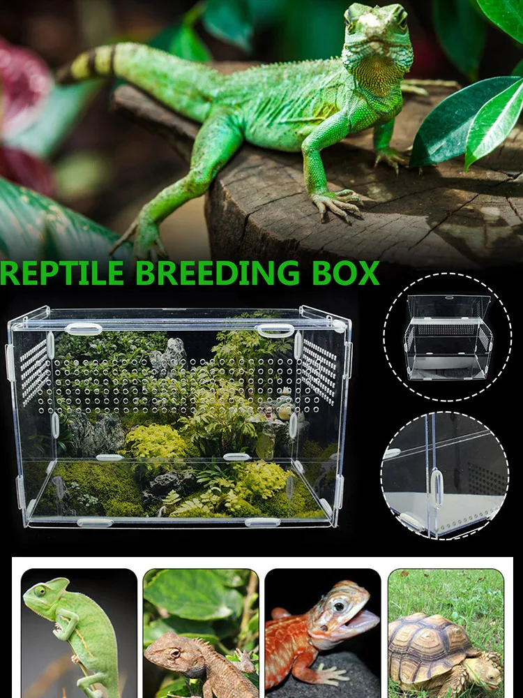 Reptile Breeding Box Acrylic Transparent Spider Breathable Terrarium Ornamental Box for Lizard Scorpion Insect