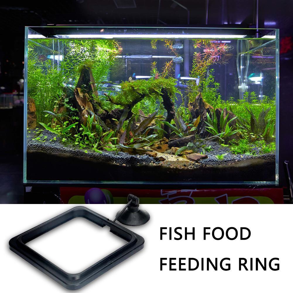 Square/Circle Accessory Water Plant Suction Cup Feeding Ring Aquarium Fish Tank Station Floating Food Tary Feeder