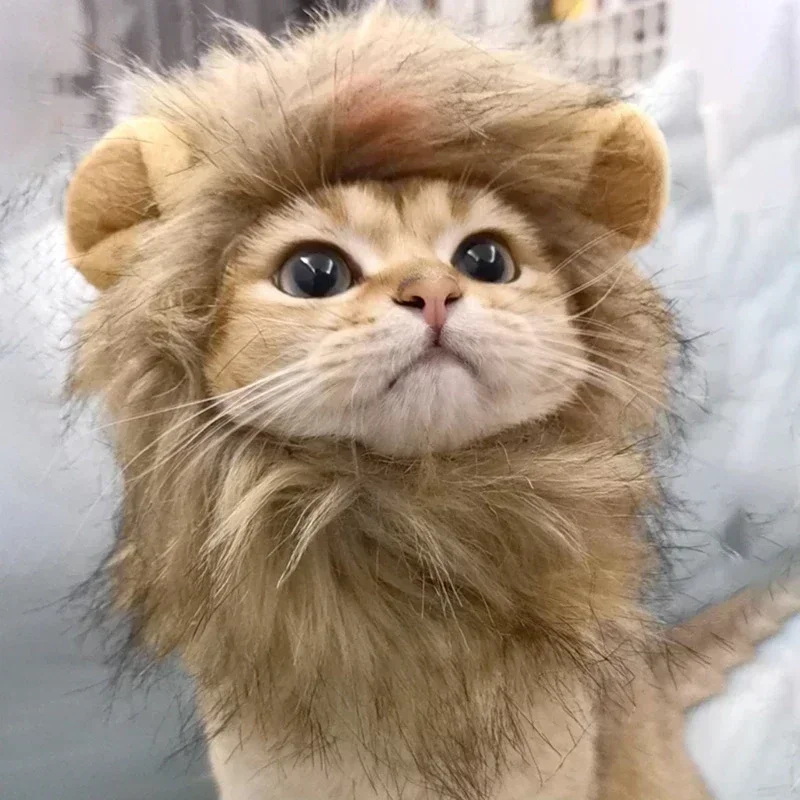 Lion Mane Wig for Cats, Funny Pet Cat Costumes for Halloween Christmas, Cat Cosplay Dress Up Pet Hat, Furry Pet Clothing Accessories (Size M, Black) N