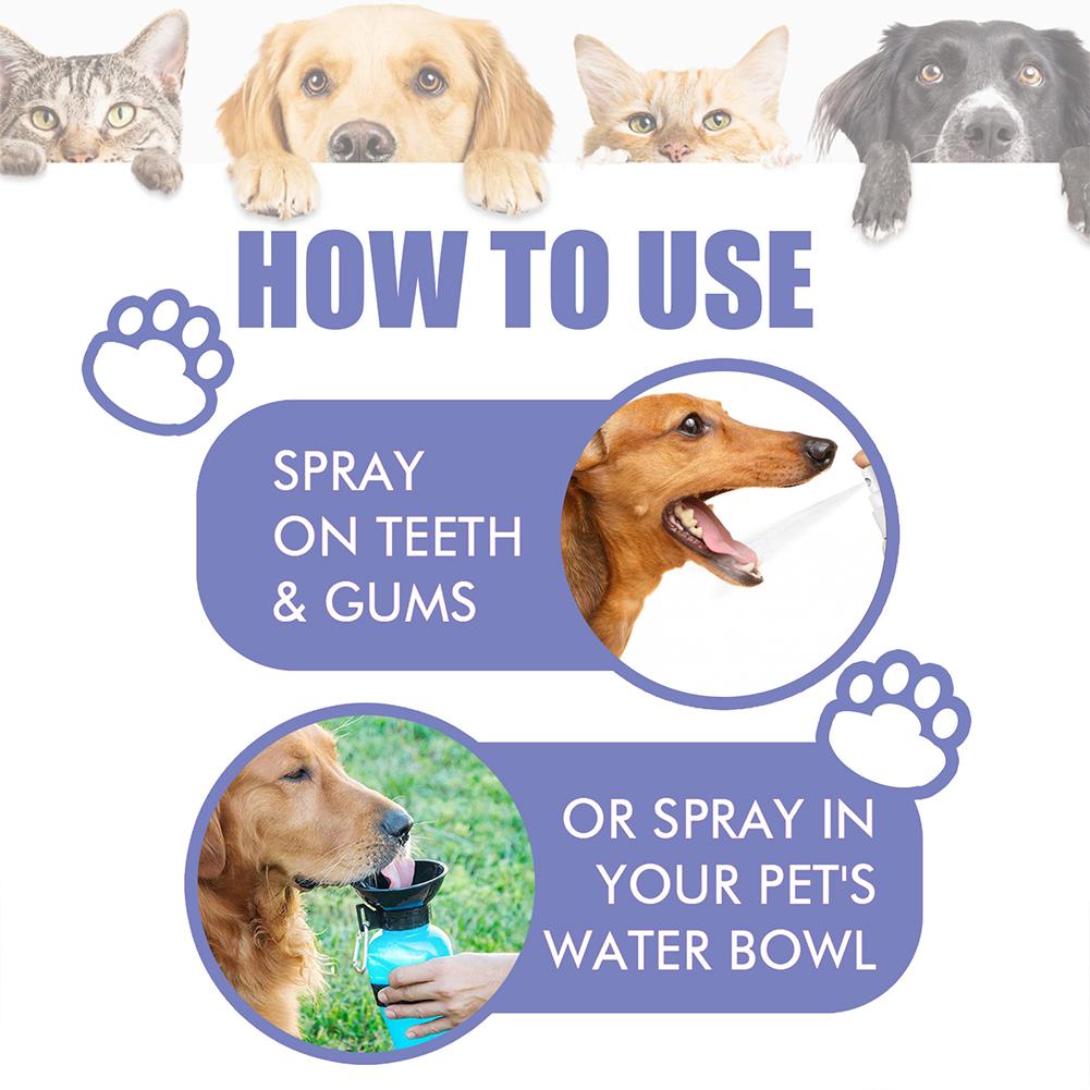 30ml Pet Spray Oral Care for Dogs Removes Plaque Cleans Teeth Breath Freshener Dogs Cats Teeth Clean Deodorant Prevent Calculus