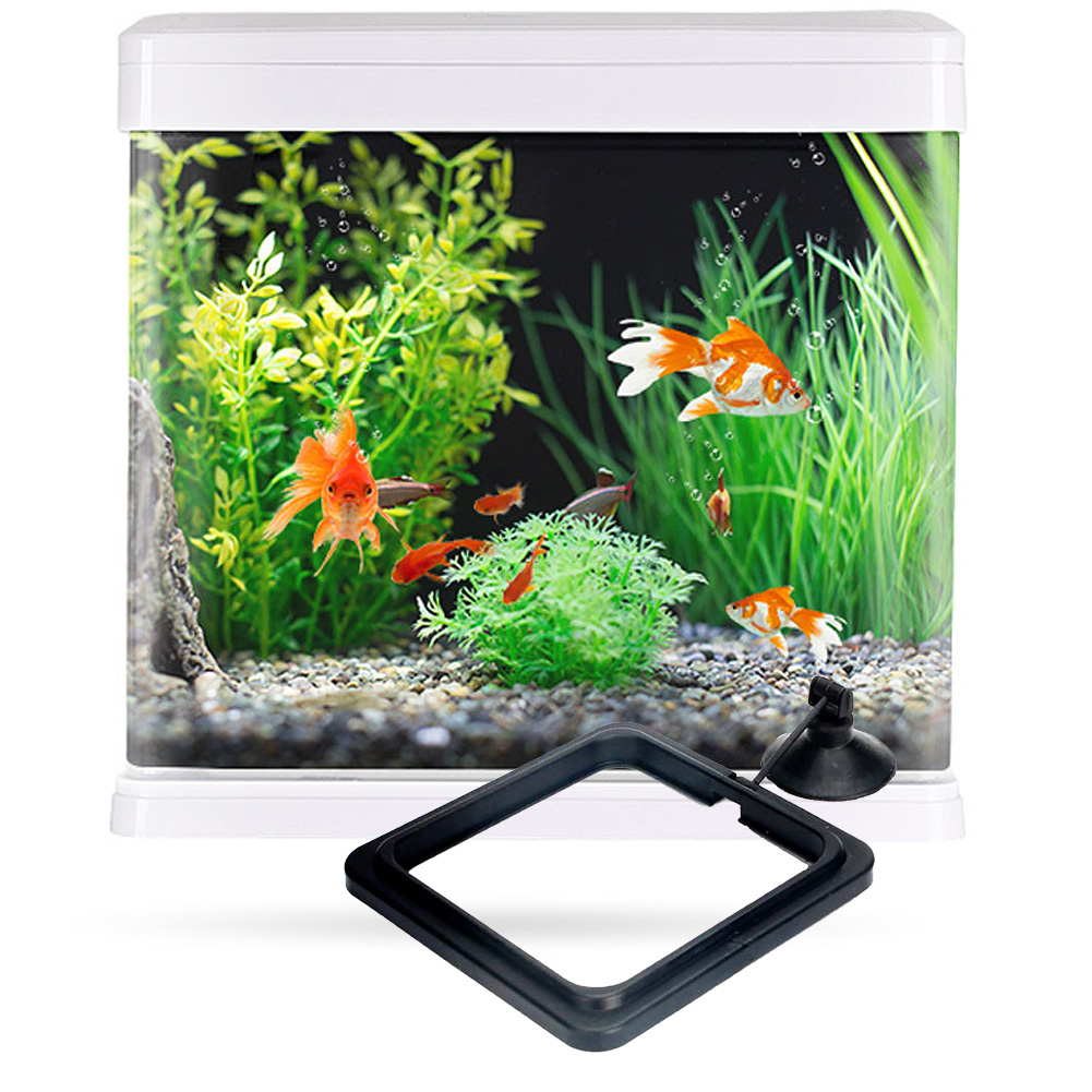 Square/Circle Accessory Water Plant Suction Cup Feeding Ring Aquarium Fish Tank Station Floating Food Tary Feeder
