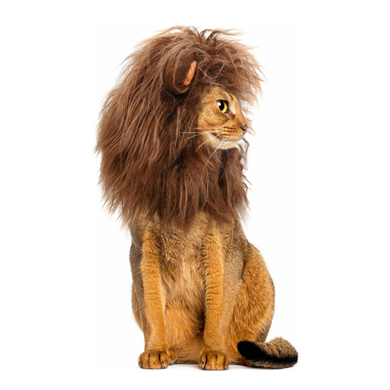 Lion Mane Wig for Cats, Funny Pet Cat Costumes for Halloween Christmas, Cat Cosplay Dress Up Pet Hat, Furry Pet Clothing Accessories (Size M, Black) N