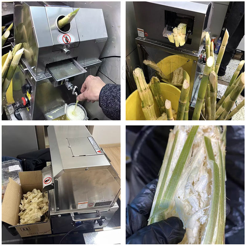 220V Sugarcane Juicer Machine Stainless Steel Cane-Juice Squeezer Sugarcane Press