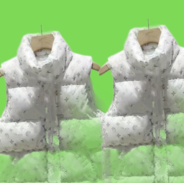 Brand Mens Down Vests Designer Embrodered Luxury Letter Bandge Style Womens Downs Vest Warm Outerwear