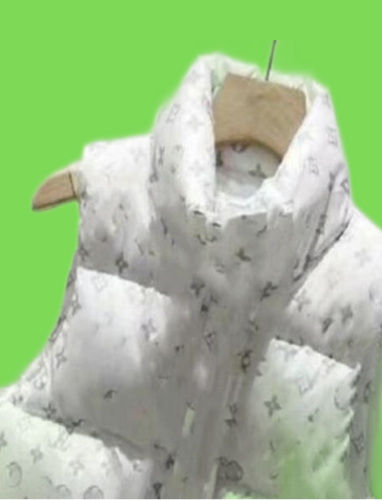 Brand Mens Down Vests Designer Embrodered Luxury Letter Bandge Style Womens Downs Vest Warm Outerwear