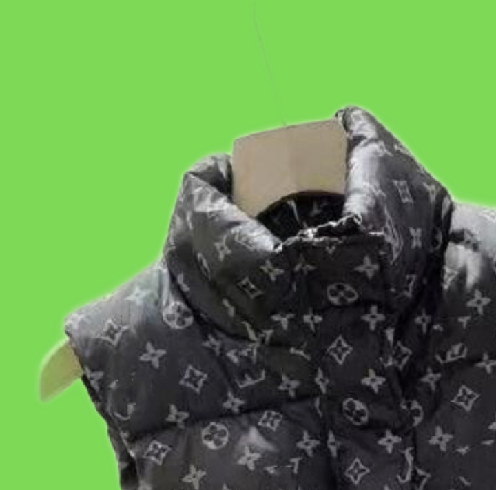 Brand Mens Down Vests Designer Embrodered Luxury Letter Bandge Style Womens Downs Vest Warm Outerwear