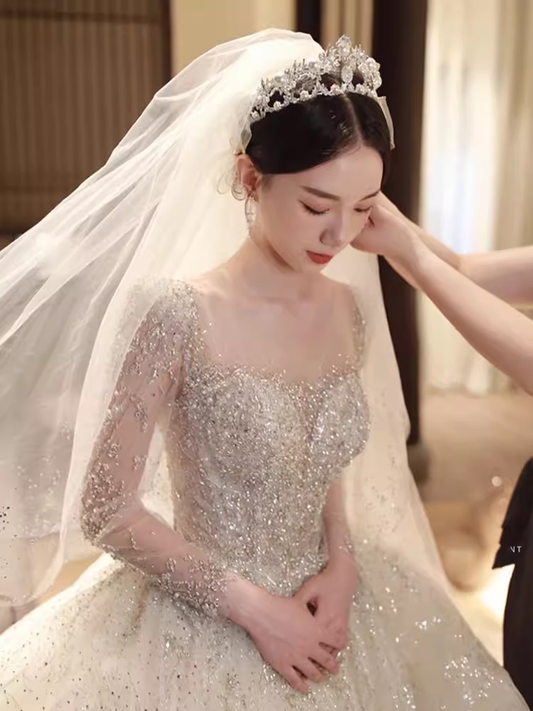 Long sleeved Wedding Dress for the Bride in 2024 new Main wedding dress plus size Boho Lace Appliques Tulle Sexy Beach Illusion Bodice Bow Backless A-