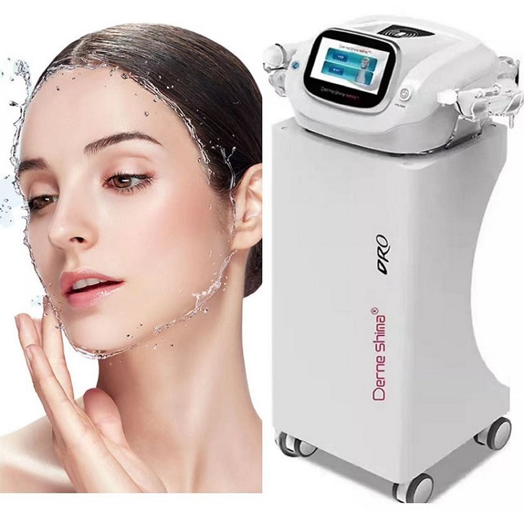 Korea Technology 4th Generation Demartha Water Light Machine 4th Generation Dermashine Pro RF Skin Rejuvenation Machine Mesotherapy Gun