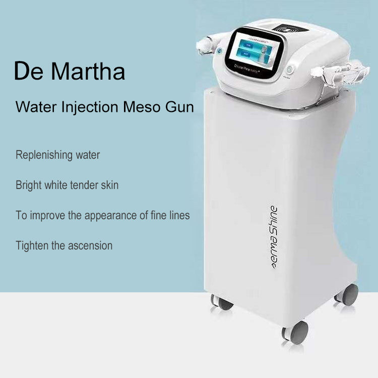 OEM ODM DermaShine PRO Vital Injector Mesotherapy Gun Anti Wrinkle Skin Rejuvenation Beauty Mesogun Mesotherapy Machine