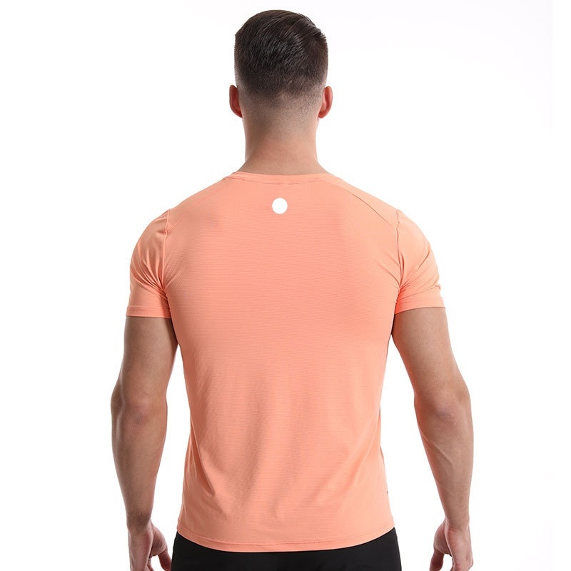 2025--Sports Mens Shirt Mens Quick Dry T Shirt Sweat-wicking Workout Short Top Men Gym Short Sleeve