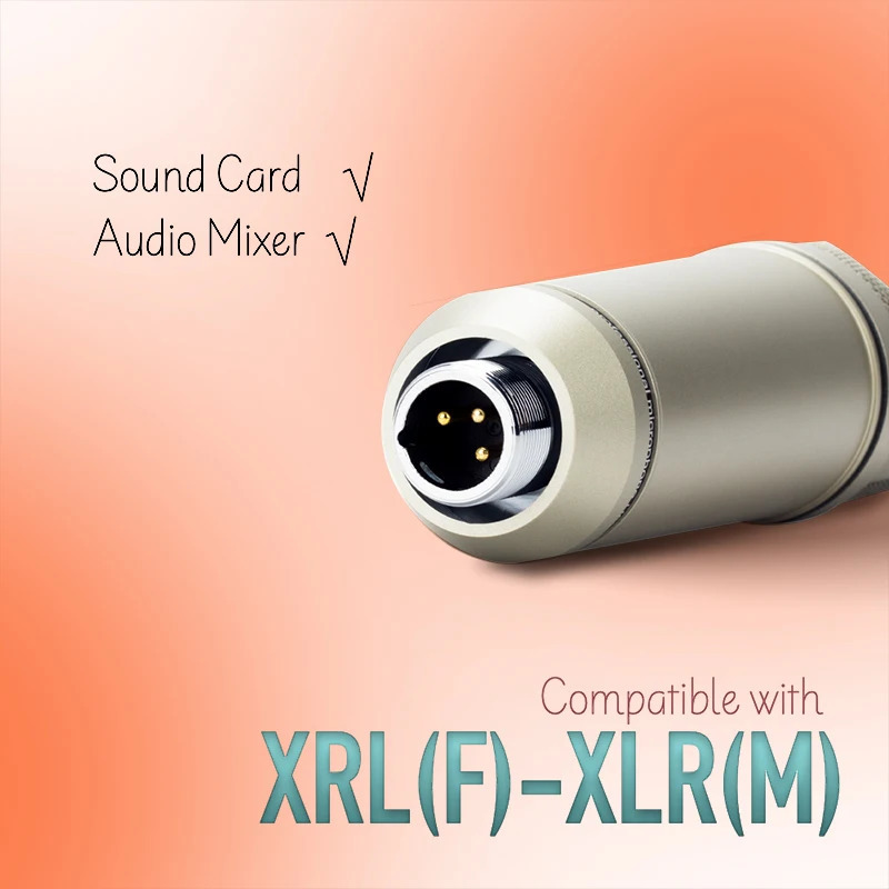 KINGLUCKY Cardioid Microphone Metal Body Condenser Recording Notebook Studio For Vocal Music k Sound Card 230816