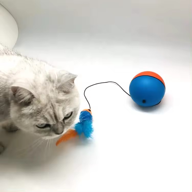 Update Toys, Pet Interactive Feather Toy, Automatic Kitten Toys For Indoor Cats, Smart Electric Ball/Mouse Toy,(Auto Cat Toy) H31