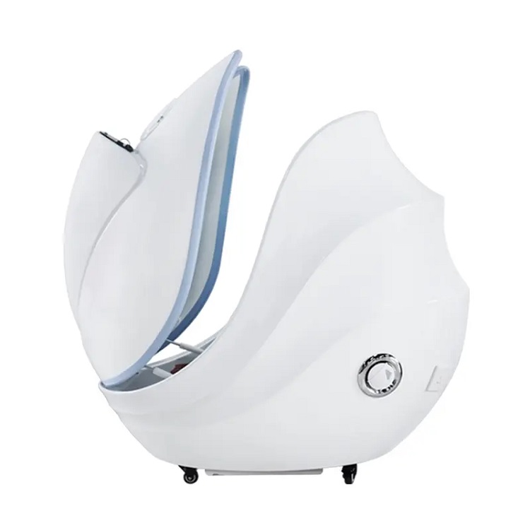 Professional Facial Steamer Far Infrared Sauna Fumigation Ozone Water Sprayer Spa Sprayer Thermal Fogger Body Detox Slimming Collagen Production Cabin