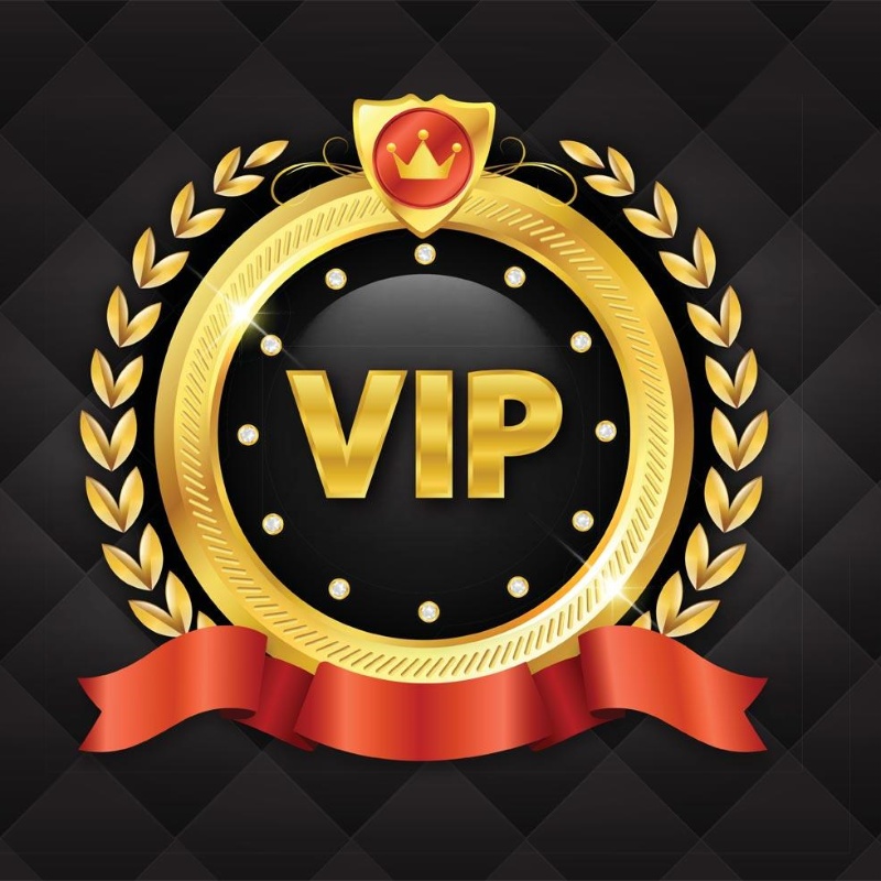 VIP only payment link 10A More style handbag shoes belt consultation and purchase