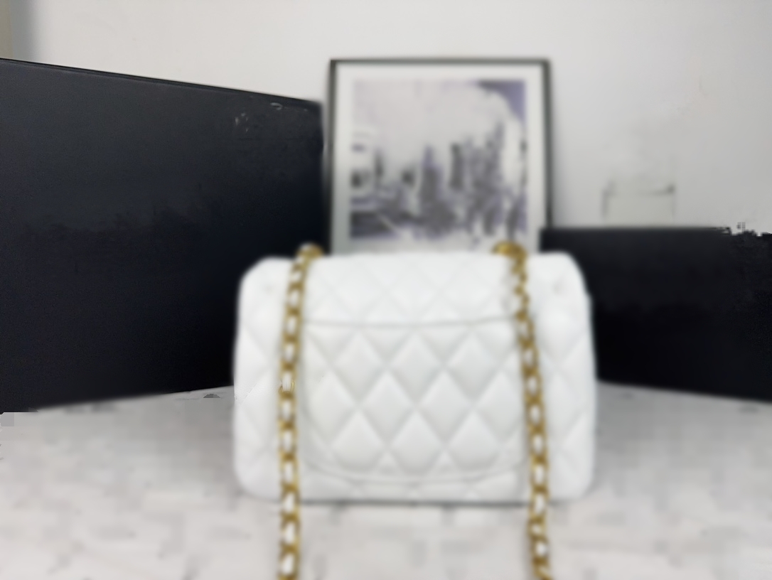 Designer Pearl Chain Mini New Shoulder Crossbody Bag Messenger Bag Fashion Classic checked soft shoulder bags t5