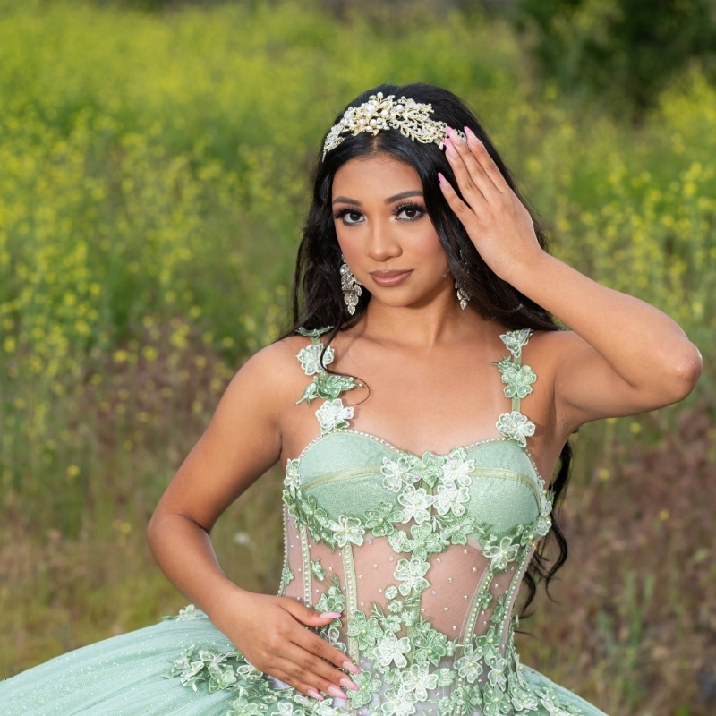 Sage Green Shiny Off Shoulder Quinceanera Prom ral Applique Princess Lace Beads weet 15 Year Old Party Dress