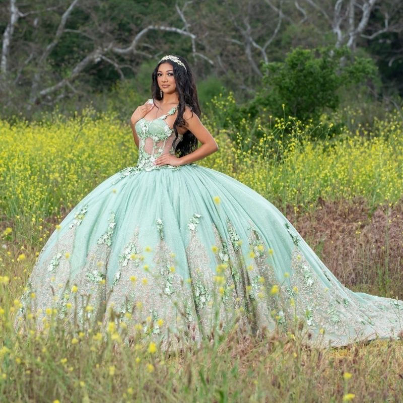 Sage Green Shiny Off Shoulder Quinceanera Prom ral Applique Princess Lace Beads weet 15 Year Old Party Dress