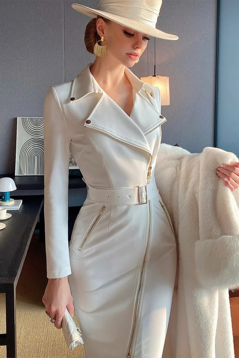 Dabuwawa Spring Autumn Female Vintage Women Large Lapel Knigt Sytle Slim Wrap Hip Zipper Dress DCDR019 240309