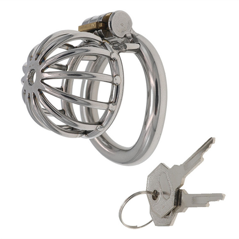 Lockable Metal Chas… - image