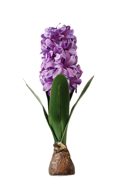 1 PCS Artificial Flower Hyacinth with Bulbs Home Table Bonsai Potted Home Garden Office Decoration Wedding Christmas Decoration4414039