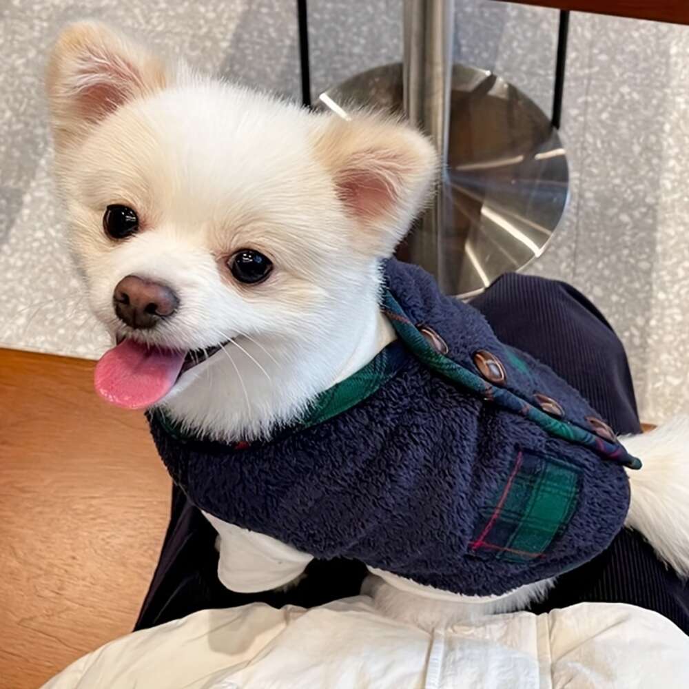 autumn winter puppy dog twolegged vest small to medium warm dog cardigan with christmas dimension scarf pet comfortable fashion