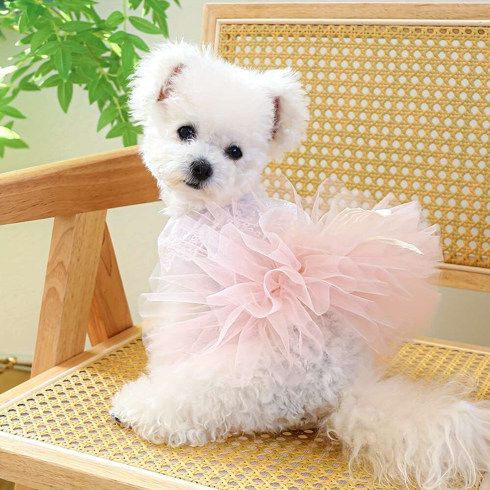 Dog Cat Dress Pet dog New Spring/Summer Cute style Sweet Princess Fairy lace pink puffy gauze dress