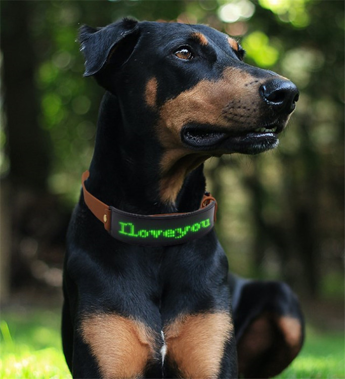 Dog Collars LED Display Screen Glowing Subtitles Imitation Leather Rechargeable Pet Collar
