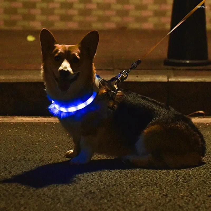 Dog Collars All-weather Pet Collar Rainproof Led Adjustable Size Flashing Modes For Night Safety Rechargeable Silicone Dogs