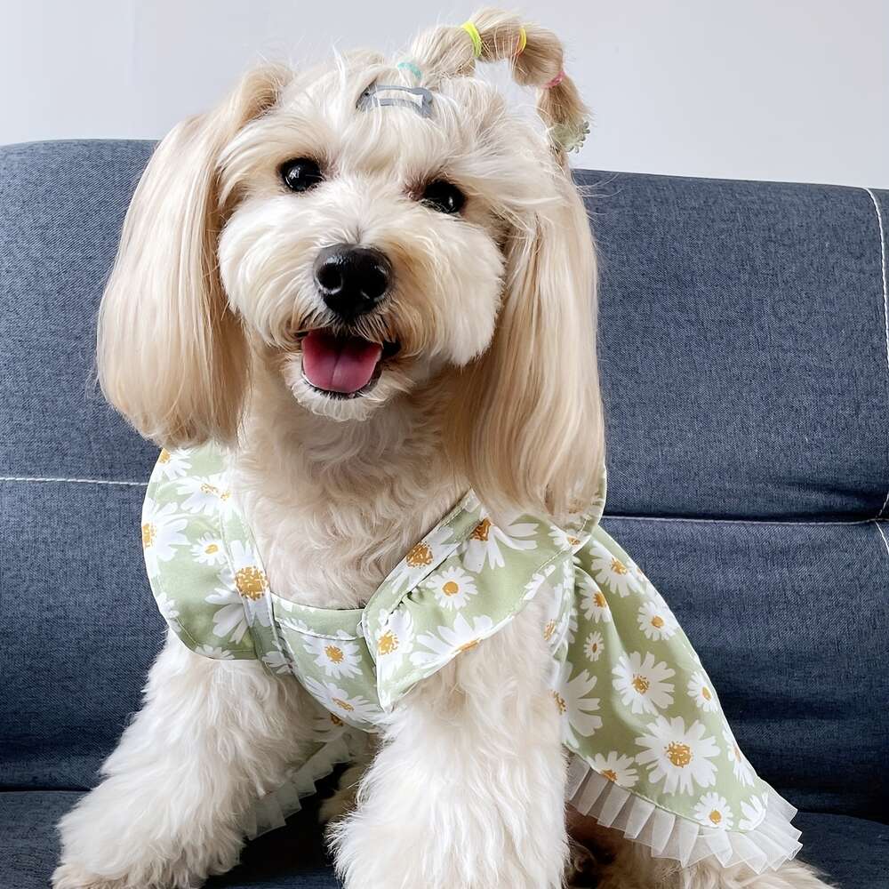 cute daisy print dog dress ideal celebrations special ocns suitable for small medium large breeds