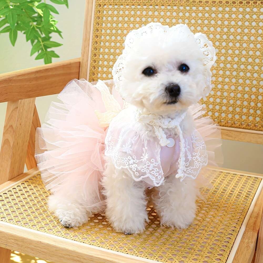 Dog Cat Dress Pet dog New Spring/Summer Cute style Sweet Princess Fairy lace pink puffy gauze dress
