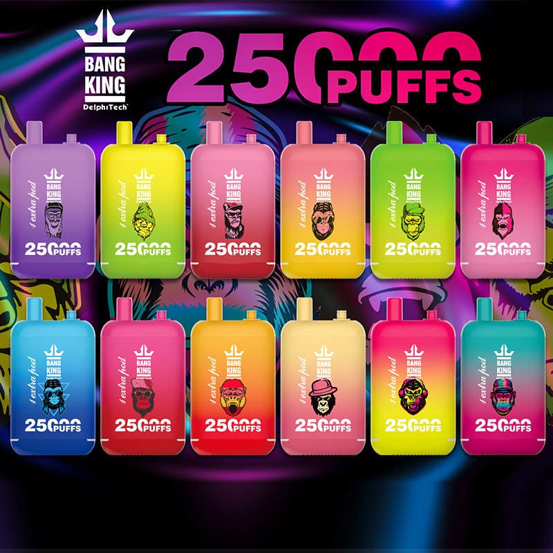 Bang king 25k vape box disposable e cigarettes 25000 puffs Dual pods 23ml +23ml pre-filled pods rechargeable battery dual mesh coil bang vapor 12 flavors