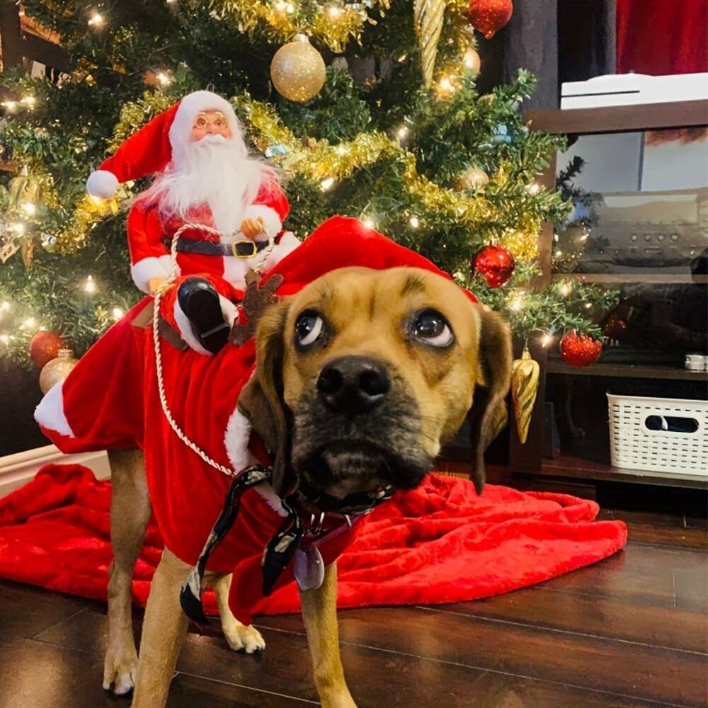christmas dog costume claus riding cosplay costumes party outfit for small medium large dogs santa pet clothes