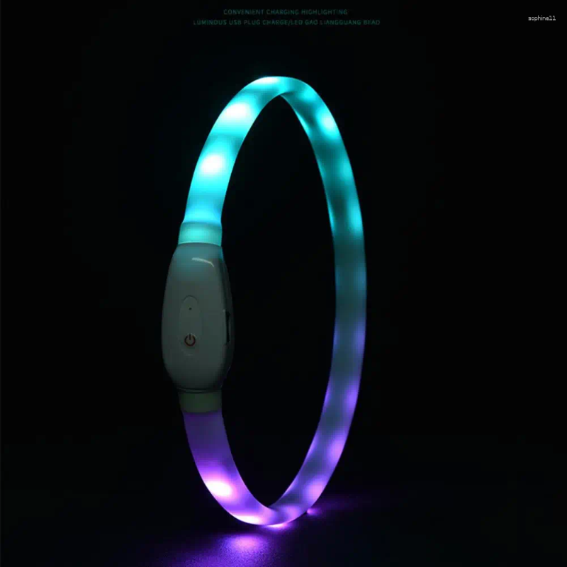 Dog Collars All-weather Pet Collar Rainproof Led Adjustable Size Flashing Modes For Night Safety Rechargeable Silicone Dogs