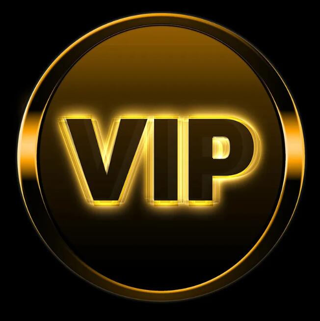 VIP customer special customized payment link