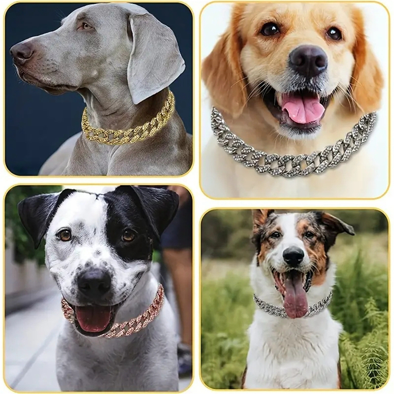Pet supplies dog collars safety buckle design with diamond studded metal chains suitable for small and medium-sized cats and dogs to wear