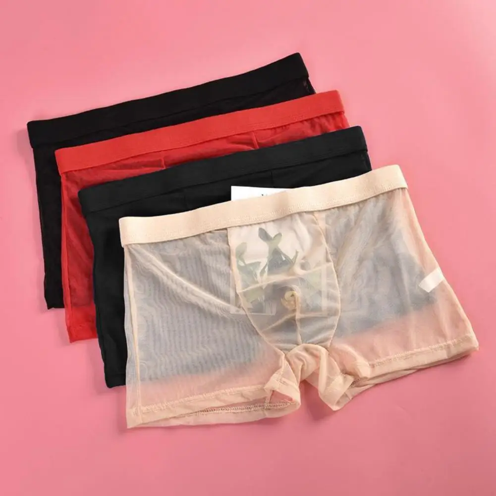 Men Boxers Breathable Elastic Mesh Low Waist Ice Silk Cooling Anti septic See through Panties Underwear