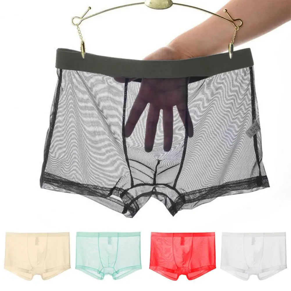 Men Boxers Breathable Elastic Mesh Low Waist Ice Silk Cooling Anti septic See through Panties Underwear