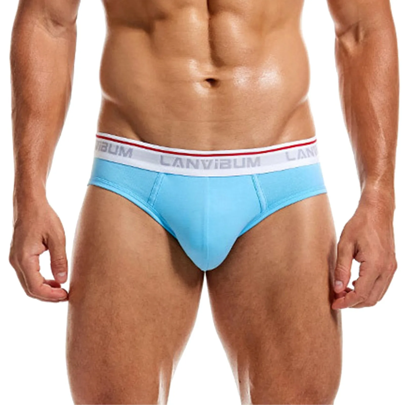 New In Sexy Underwear For Men Underpants Knickers Sexy Solid Briefs 2025 Shorts Underwear Pant Mens new Bikini Underwear Tanga Hombre