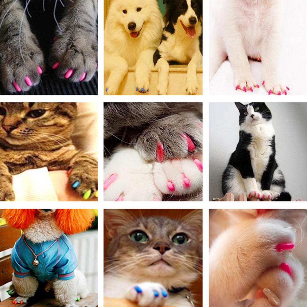 20 pcs/lot Pet Dog Cat Nail Caps Cat Nail Finger Grooming Floor Protect Claw Control Soft Paw Caps Soft Nail Caps for Cats