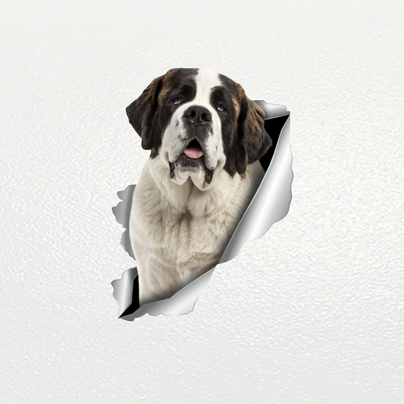 V1154# new Car Sticker Saint Bernard Dog Pet Waterproof Vinyl Decal 2025 Car Accessories Decor Pegatinas Para Coche