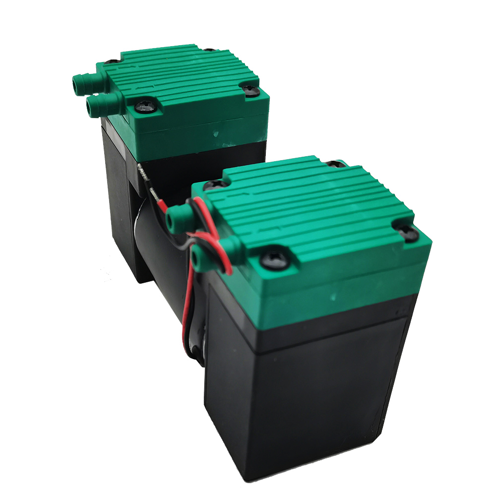 12V 24V 220V Micro Vacuum Electric Silent Small Air Double Heads Diaphragm Pump 20L/MIN SY-020