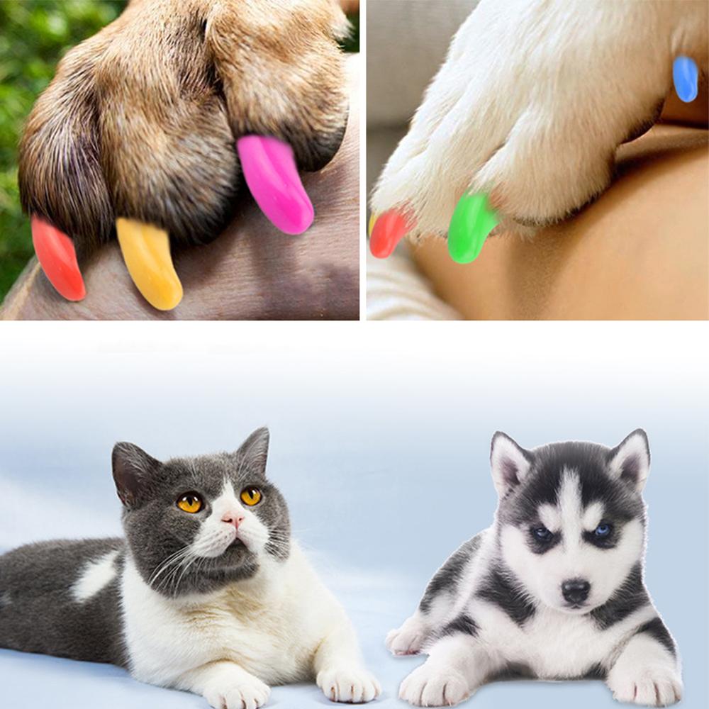 20 pcs/lot Pet Dog Cat Nail Caps Cat Nail Finger Grooming Floor Protect Claw Control Soft Paw Caps Soft Nail Caps for Cats