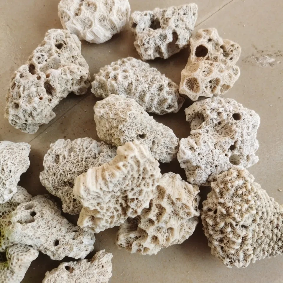 Coral Bone Fish Tank Filter 2025 Material High Quality Coral new Sand Coral Stone Broken Coral Bone Decorative Aquarium Landscape Filter
