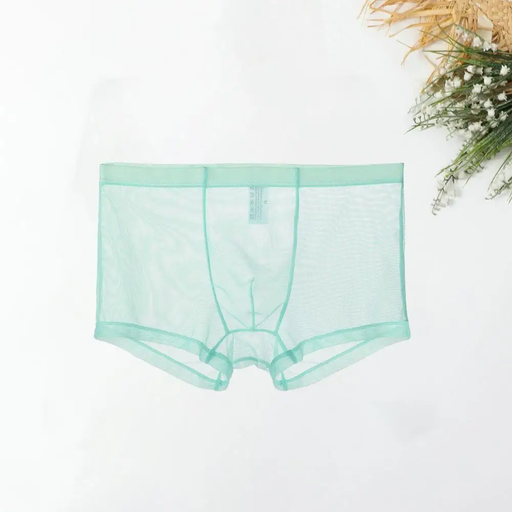 Men Boxers Breathable Elastic Mesh Low Waist Ice Silk Cooling Anti septic See through Panties Underwear