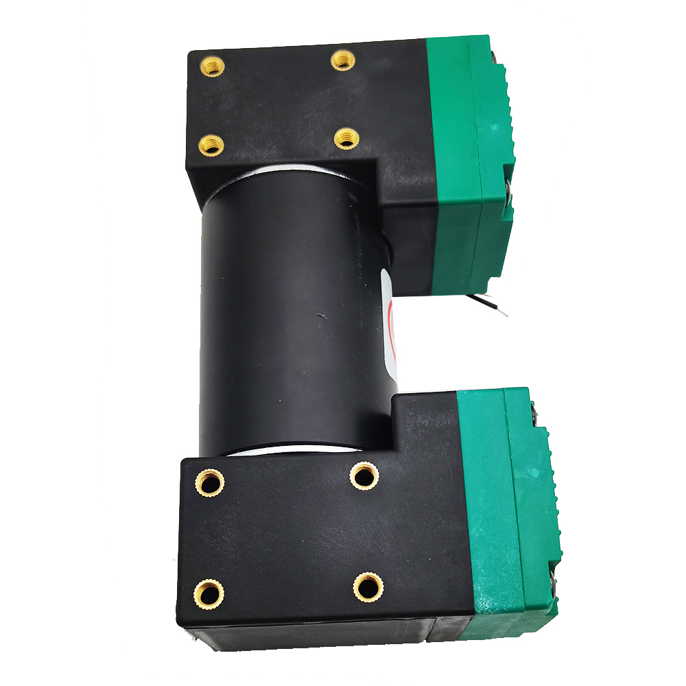 12V 24V 220V Micro Vacuum Electric Silent Small Air Double Heads Diaphragm Pump 20L/MIN SY-020