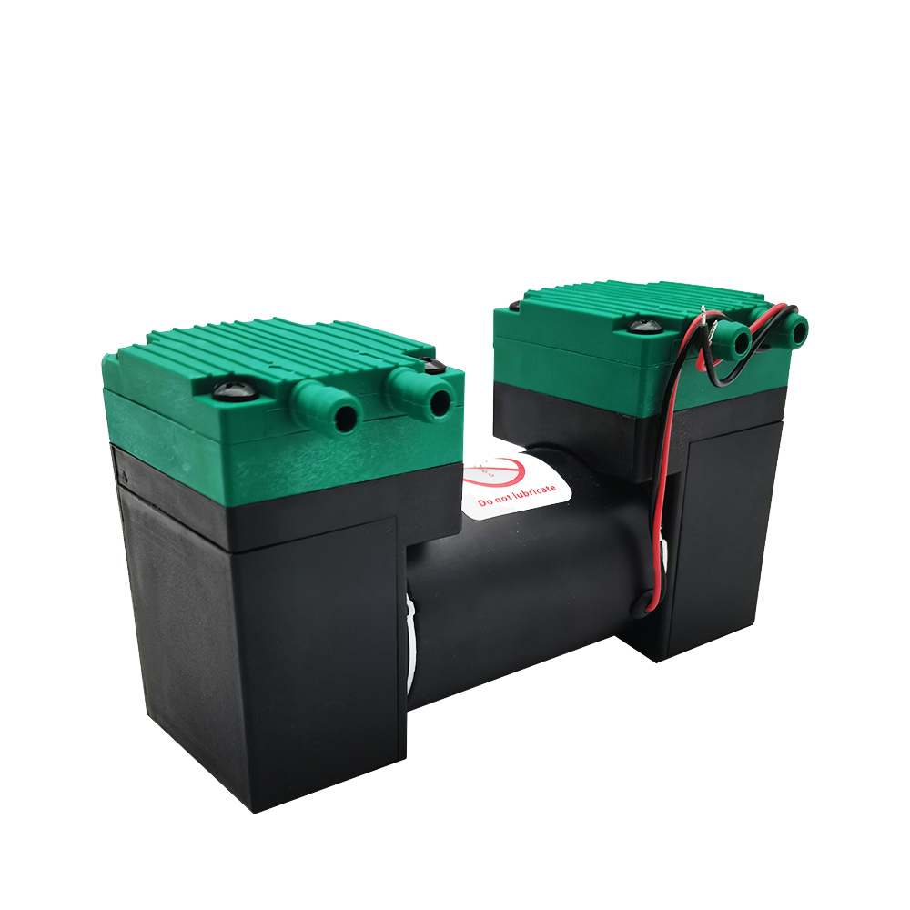 12V 24V 220V Micro Vacuum Electric Silent Small Air Double Heads Diaphragm Pump 20L/MIN SY-020