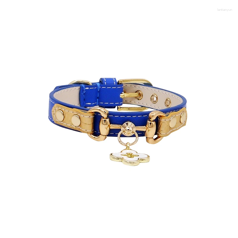 Dog collar; pet collar; leather; high-end designer collar; blue and black collar.